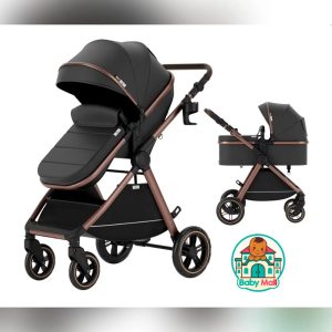 Black Baby 2-in-1 Convertible Luxury Stroller