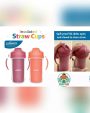 Dr. Brown's Berry & Orange Toddler Insulated Straw Cup 2-Pack 10 oz